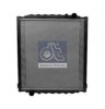 DT 3.16208 Radiator, engine cooling